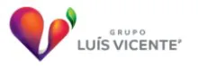 Cliente Visionsoft - Luis Vicente